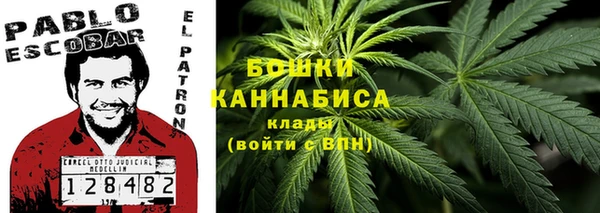 шишки Балабаново
