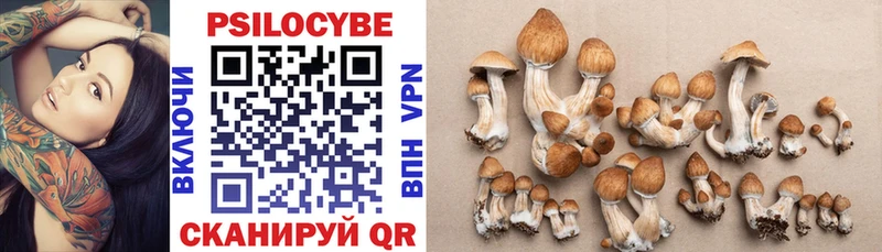 Галлюциногенные грибы GOLDEN TEACHER  Курганинск 
